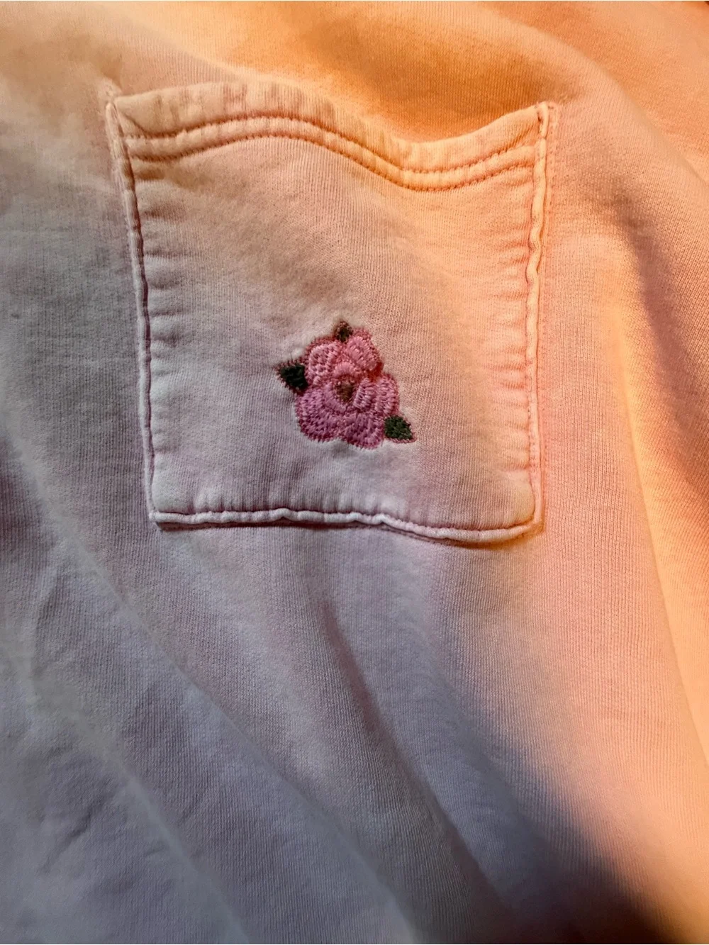 Free People Pale Pink Crewneck Sweatshirt